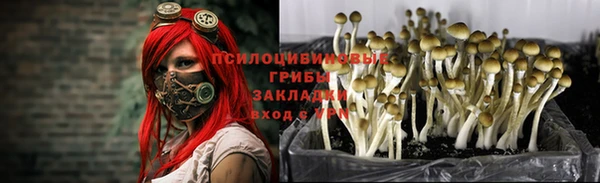 а пвп мука Балабаново