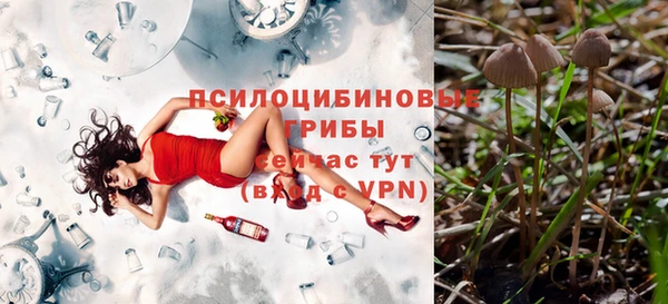 дмт Баксан