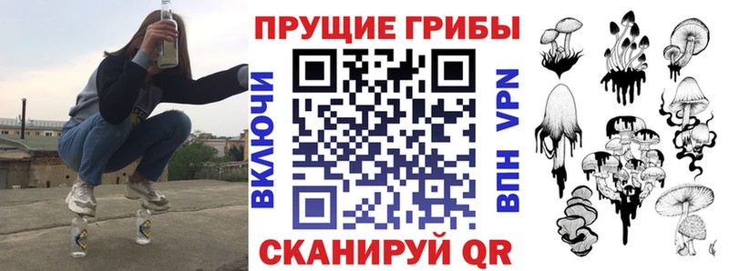 Псилоцибиновые грибы мицелий где купить наркоту Краснозаводск